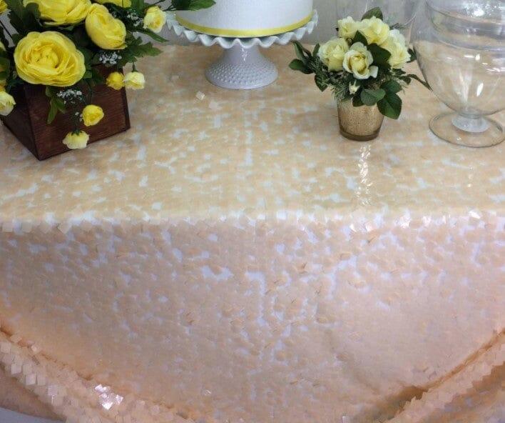 Dull Square Dazzle Sequins | Decorative Sequins on Mesh | 52" Wide | Fabric mytextilefabric