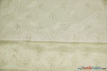 Load image into Gallery viewer, Sparkle Organza Fabric | Glitter Beads on Organza Fabric | 58&quot; Wide | Fabric mytextilefabric Yards Ivory 

