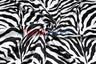 Animal Zebra Satin Fabric | Soft Satin Zebra Charmeuse Fabric | 60" Wide | Multiple Colors |