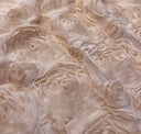 Champagne Wedding Floral Chiffon Fabric | 3d Floral Chiffon Fabric | Floral Chiffon Embroidery |