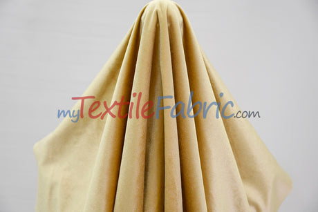 BT Royal™ ------------------------------A Plush Velvet Fabric | Soft and Plush Non Stretch Velvet Fabric | 60" Wide | Apparel, Decor, Drapery and Upholstery Weight | Multiple Colors