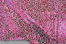 Cheetah Hologram Spandex | 4 Way Stretch Dancewear Fabric | 58/60" Wide | Multiple Colors |