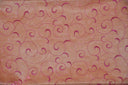 Swirl Organza Fabric | Embroidered Swirl Sheer | 54" Wide | Multiple Colors |
