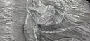 Crush Lame | Metallic Crease Crinkled Lame | 52" Wide |