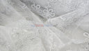 Coco Ribbon Sheer Embroidery |  Double Scallop Lace | 52" Wide |
