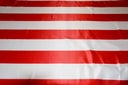 3.5" Stripe Satin Print | Dull Satin Print | 58/60" Wide | Multiple Colors | Stripe Satin Print Fabric | Fabric mytextilefabric Yards Red White 3.5 Inch Stripe 