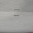 Black and White Fusing Fabric | Fusible Interfacing | Medium Weight | 60" Wide | Iron on Woven | My Textile Fabric 