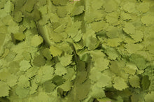Load image into Gallery viewer, Grape Leaf Taffeta | Hanging Grape Leaf Taffeta | 57&quot; Wide | Multiple Colors Fabric mytextilefabric 