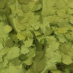 Load image into Gallery viewer, Grape Leaf Taffeta | Hanging Grape Leaf Taffeta | 57&quot; Wide | Multiple Colors Fabric mytextilefabric 
