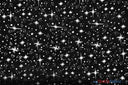 Shooting Star Foil Organza Fabric| 60" Wide | Sheer Organza with Foil Silver Metallic Star | Decor, Overlays, Accents, Dresses, Apparel | Fabric mytextilefabric Yards Black 