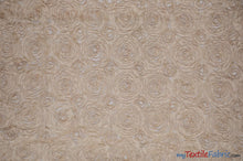Load image into Gallery viewer, Wedding Floral Chiffon Fabric | 3d Floral Chiffon Fabric | Floral Chiffon Embroidery | 52&quot; Wide | 4 Colors | Fabric mytextilefabric Yards Champagne 