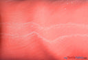 Soft and Smooth Mirror Organza Fabric | 60" Wide | Continuous Yards | Multiple Colors | Fabric mytextilefabric Yards Coral 