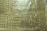 4 Way Stretch Dancewear Fabric | Jungle Alligator Hologram Spandex | 58/60" Wide | Multiple Colors | Fabric mytextilefabric Yards Gold 