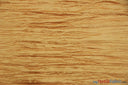 Crease Taffeta Fabric | Crush Taffeta | 52" Wide | Continuous Yards | Multiple Colors | Fabric mytextilefabric Yards Gold 