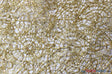 Open Weave Metallic Rose Mesh with Glitz Sequins | 52" Wide | Scalloped Edge | Silver and Gold | Fabric mytextilefabric Yards Gold 