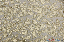 Load image into Gallery viewer, Wendy Lace Sequins Fabric | Bridal Metallic Lace with Sequins | 54&quot; Wide | Multiple Colors | Silver and Gold Fabric mytextilefabric Yards Gold 