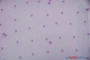 Very Soft Tulle with Pearls | Tulle with Beads | 52" Wide | Bridal Veil Tulle, Wedding Dress | Fabric mytextilefabric Yards Lavender 