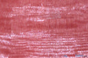 Soft and Smooth Mirror Organza Fabric | 60" Wide | Continuous Yards | Multiple Colors | Fabric mytextilefabric Yards Light Coral 