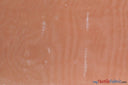 Soft and Smooth Mirror Organza Fabric | 60" Wide | Continuous Yards | Multiple Colors | Fabric mytextilefabric Yards Peach 