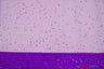 Tulle Glitter with Sequins and Glitter | 60" Wide | Multiple Colors | Glitter Tulle Fabric with Sequins Embellishments | Fabric mytextilefabric Yards Purple 