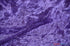 products/purple.jpg