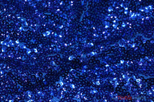Load image into Gallery viewer, Gatsby Sequins Fabric | 6mm Flat Sewn Sequins on Mesh | 52&quot; Wide | Multiple Colors | Fabric mytextilefabric Yards Royal Blue 
