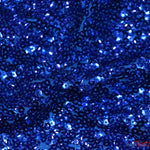 Load image into Gallery viewer, Gatsby Sequins Fabric | 6mm Flat Sewn Sequins on Mesh | 52&quot; Wide | Multiple Colors | Fabric mytextilefabric Yards Royal Blue 
