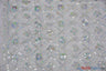 Coco Star Sheer Embroidery | Double Scallop Lace | 52" Wide | Fabric mytextilefabric Yards Silver 