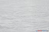 Crease Taffeta Fabric | Crush Taffeta | 52" Wide | Wholesale Bolt | Multiple Colors | Fabric mytextilefabric Bolts White 